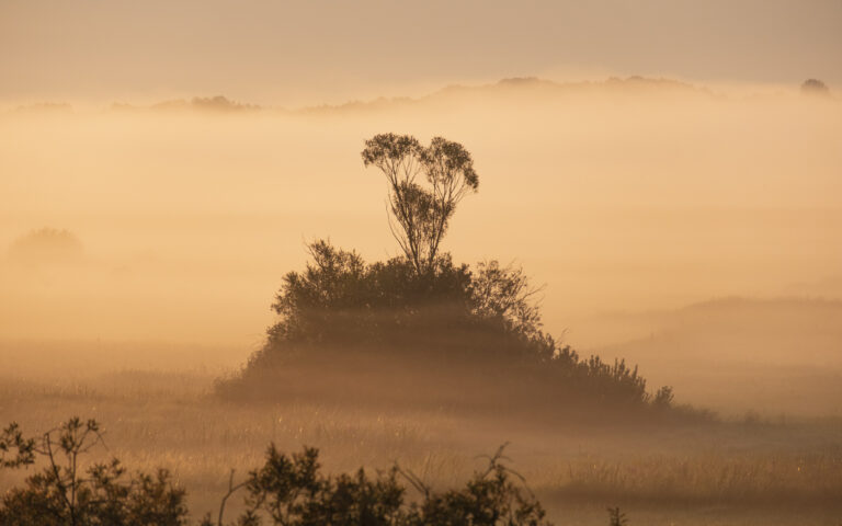 KRAJOBRAZ/ LANDSCAPE:  PODLASIE