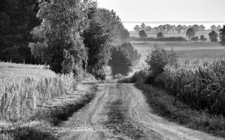 ART OF BLACK & WHITE: NATURE